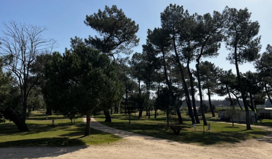 Camping La Maltournee Sigloy Kültér fotó